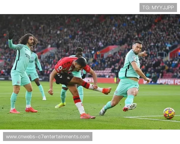 布莱顿1-1埃弗顿，格罗斯破门，贝托补时扳平